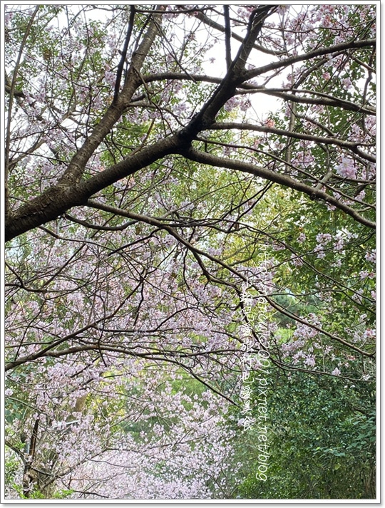 碧山巖4.JPG 碧山巖4.JPG