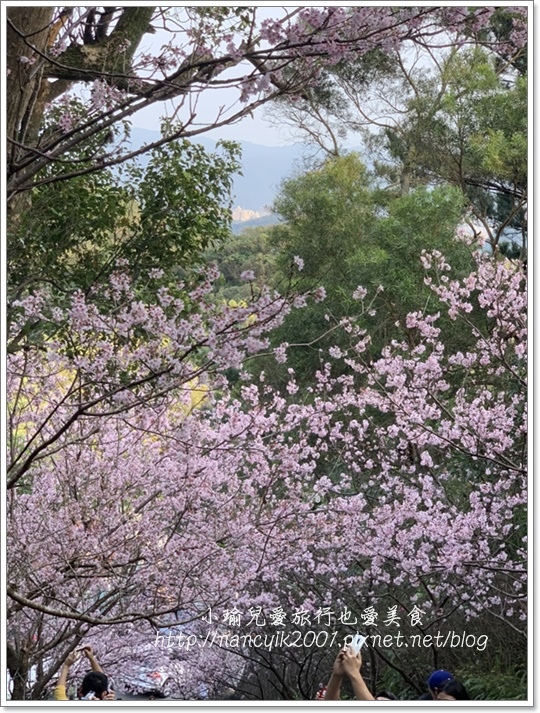 碧山巖11.JPG 碧山巖11.JPG