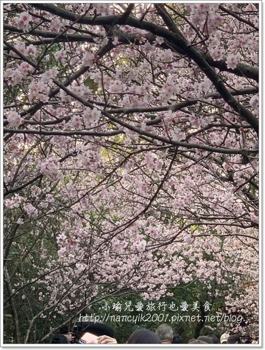 碧山巖12.JPG 碧山巖12.JPG