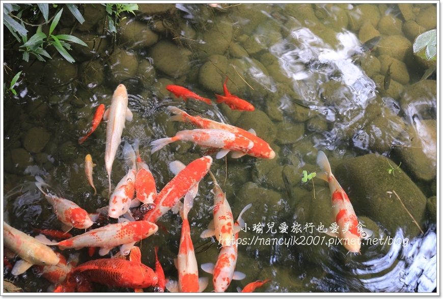 享自在16.JPG 享自在16.JPG