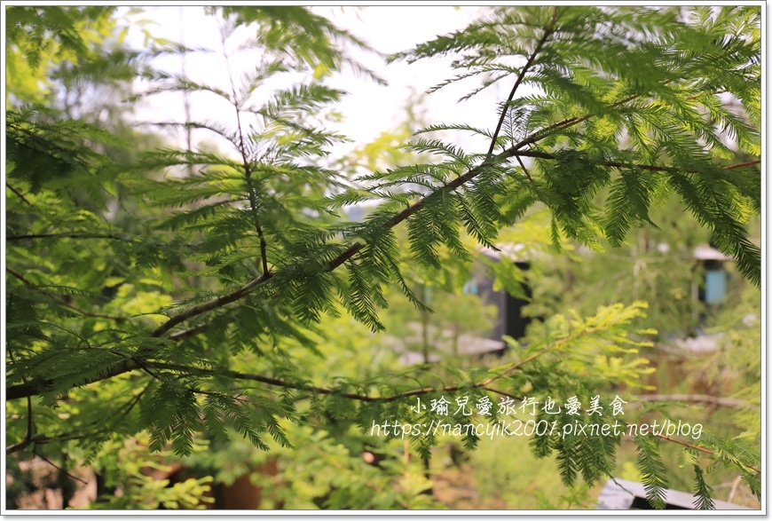 享自在29.JPG 享自在29.JPG