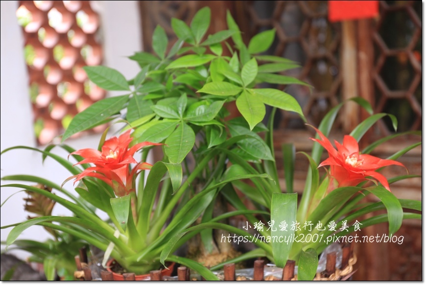 IMG_4625.JPG IMG_4625.JPG