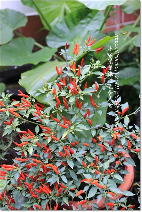 IMG_4642.JPG IMG_4642.JPG