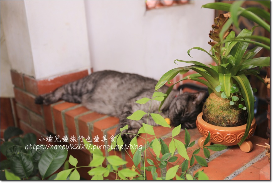 IMG_4643.JPG IMG_4643.JPG