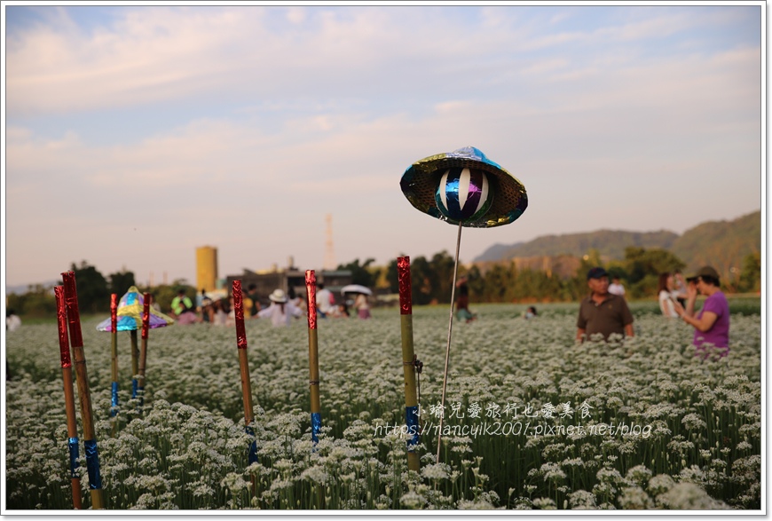 IMG_5571.JPG IMG_5571.JPG