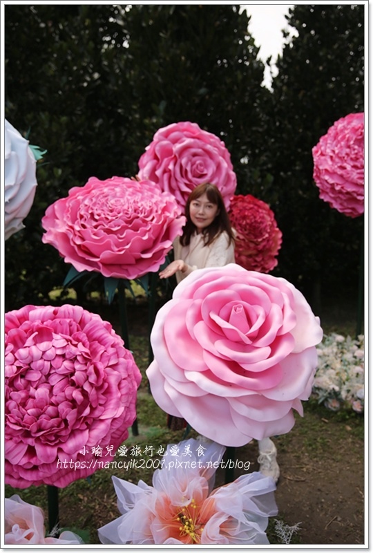 IMG_2695.JPG IMG_2695.JPG