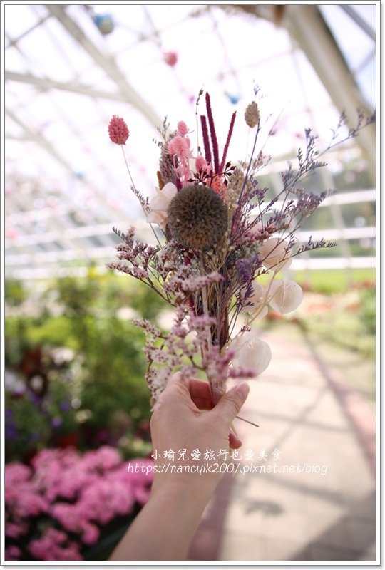 IMG_0149.JPG IMG_0149.JPG