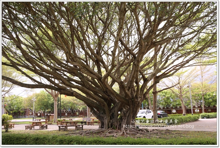 IMG_0190.JPG IMG_0190.JPG