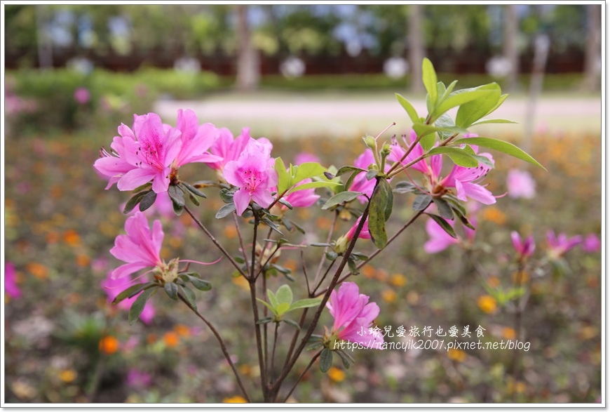 IMG_0191.JPG IMG_0191.JPG