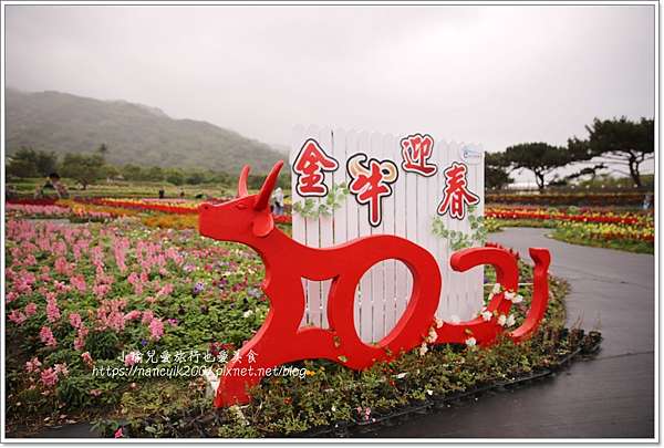 台東 台東景點 21成功花海季金牛迎春 賞花之餘還可逛成功鎮農會買伴手禮 小瑜兒愛旅行也愛美食