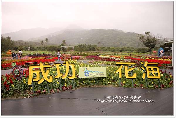 台東 台東景點 21成功花海季金牛迎春 賞花之餘還可逛成功鎮農會買伴手禮 小瑜兒愛旅行也愛美食
