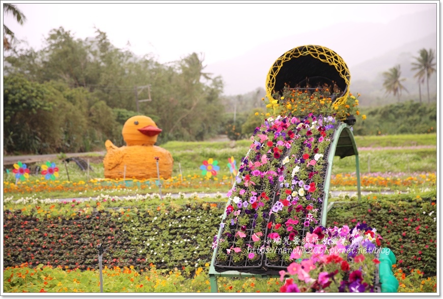 台東 台東景點 21成功花海季金牛迎春 賞花之餘還可逛成功鎮農會買伴手禮 小瑜兒愛旅行也愛美食