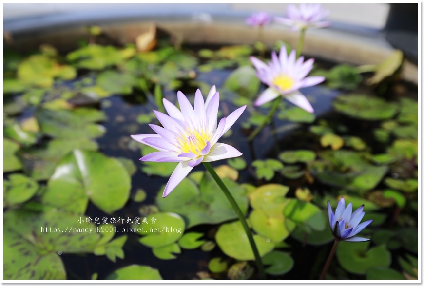 _E5A7799.JPG _E5A7799.JPG