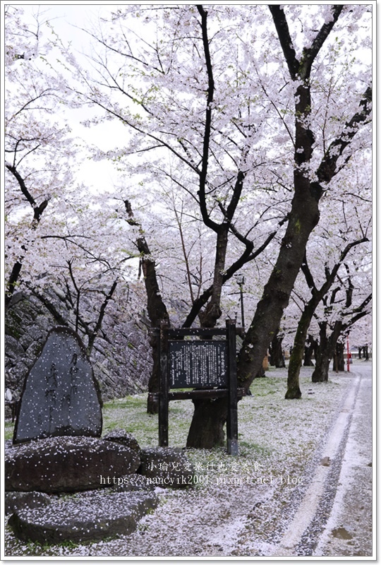 【日本】日本東北賞櫻 / 盛岡城跡公園（岩手公園）&  石割