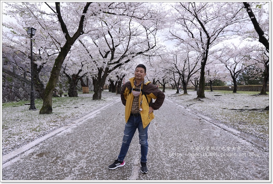 【日本】日本東北賞櫻 / 盛岡城跡公園（岩手公園）&  石割