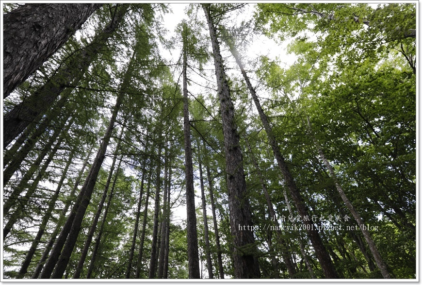 【北海道】京極町出水公園。羊蹄山名水公園。日本名水百選。京極 【北海道】京極町出水公園。羊蹄山名水公園。日本名水百選。京極