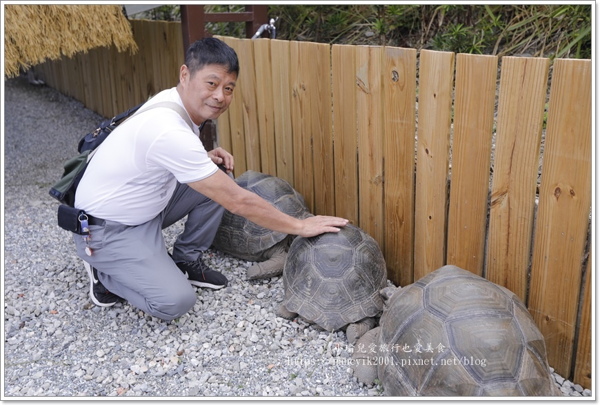 【花蓮】月崖灣親子場