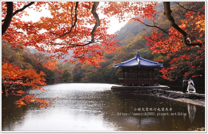 南韓,全羅道,南韓景點,全羅道景點,內藏山國立公園,內藏山,南韓公園,全羅道公園,楓葉,賞楓,南韓楓葉,南韓賞楓