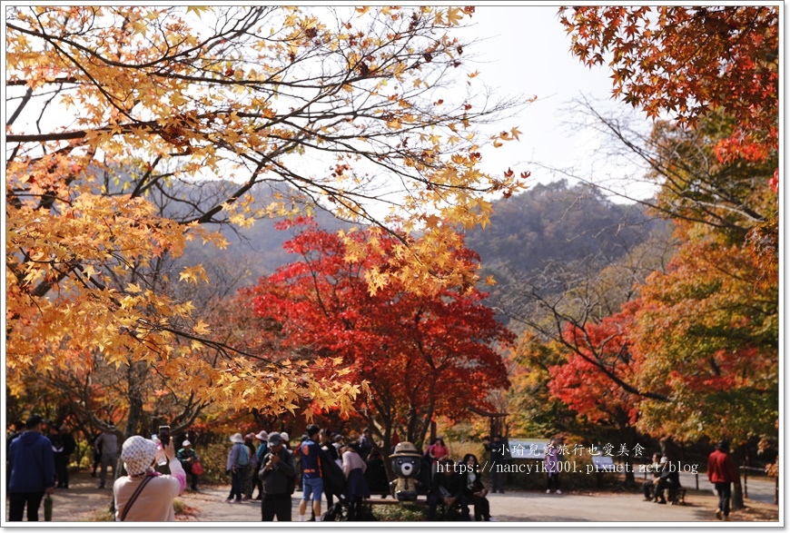 【韓國】全羅道內藏山내장산 【韓國】全羅道內藏山내장산