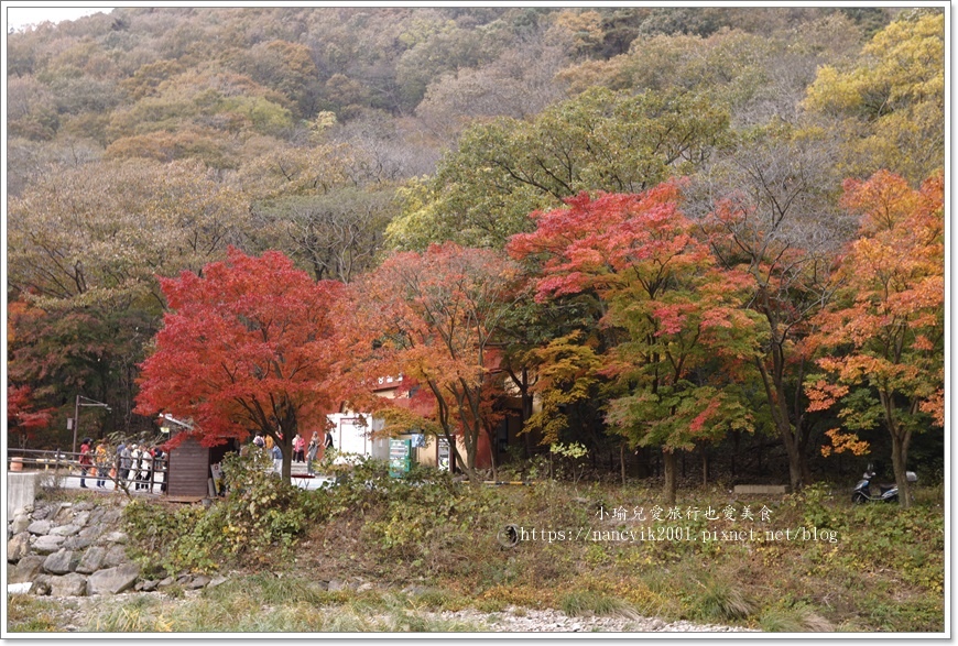 【韓國】全羅道內藏山내장산