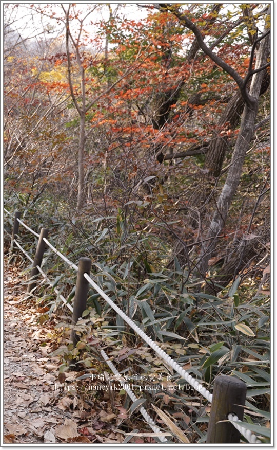 【韓國】韓國賞楓 / 全羅道內藏山 / 韓國第一楓葉山