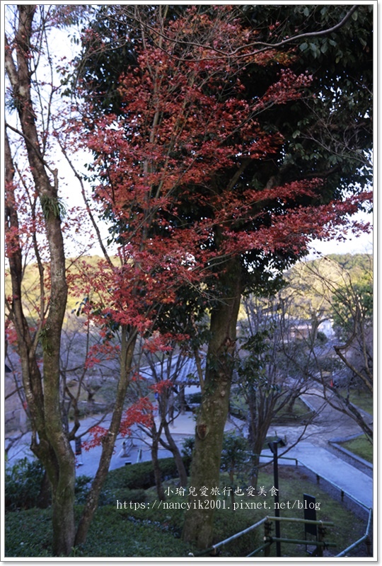 【京都】平等院