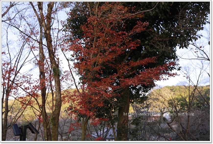 【京都】平等院