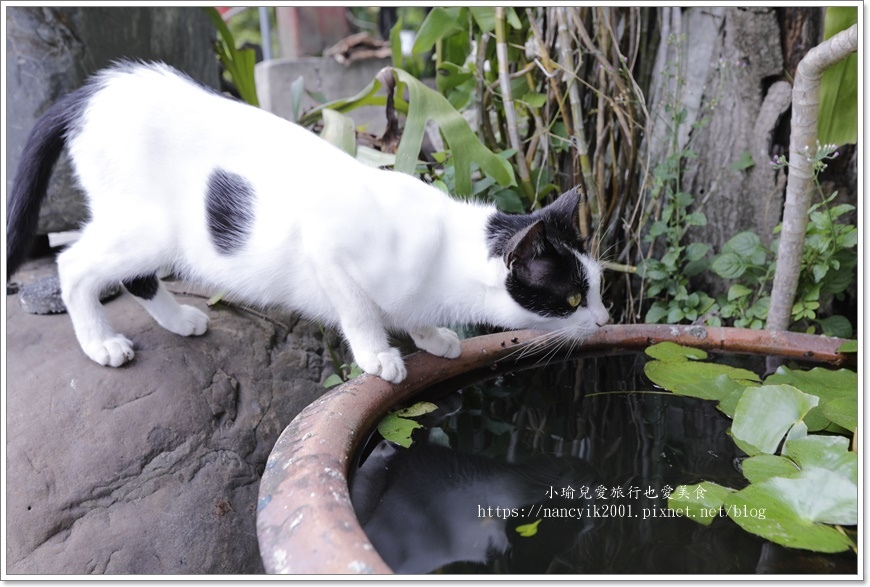 【花蓮】【牛山看見美餐飲】