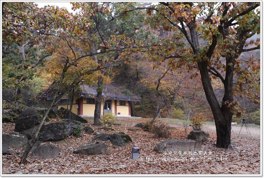 【韓國】江華島傳燈寺（전등사）/ 韓國最古老的寺院 / 秋天