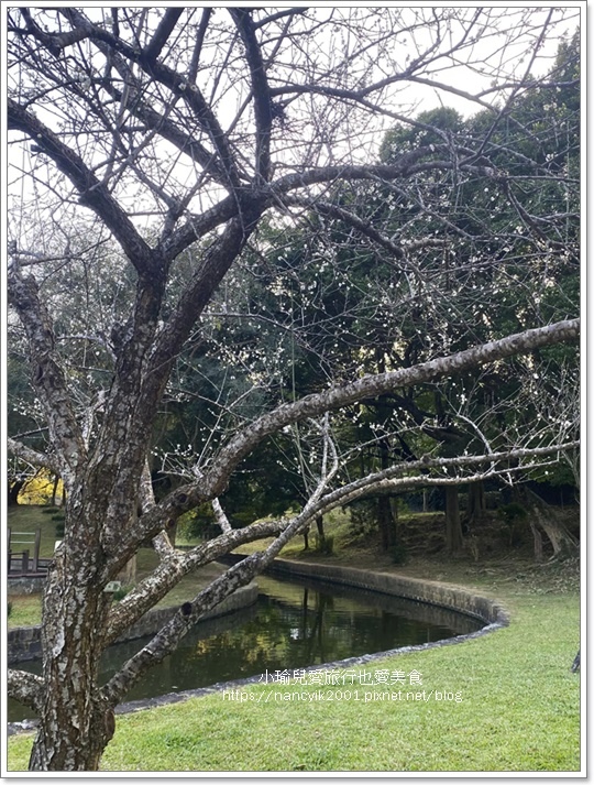 【台北】大湖公園。搭捷運就可賞落羽松。被選為世界最美的公園之