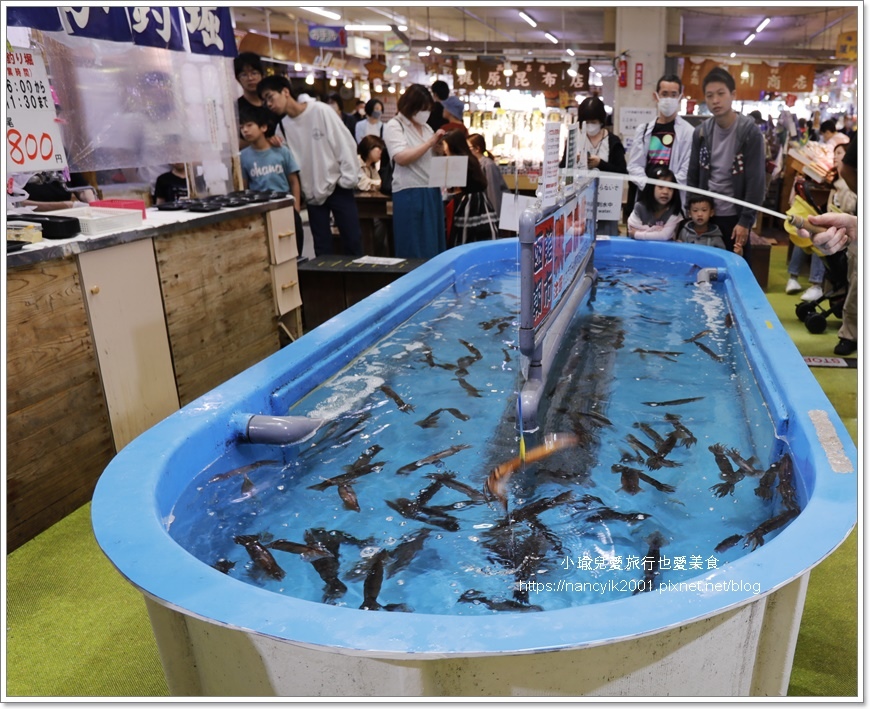 【日本】函館朝市 駅二市場 駅二市場釣烏賊 蓋飯橫丁市場（ど