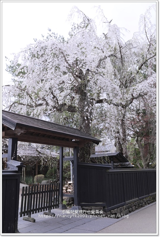 【日本】秋田角館