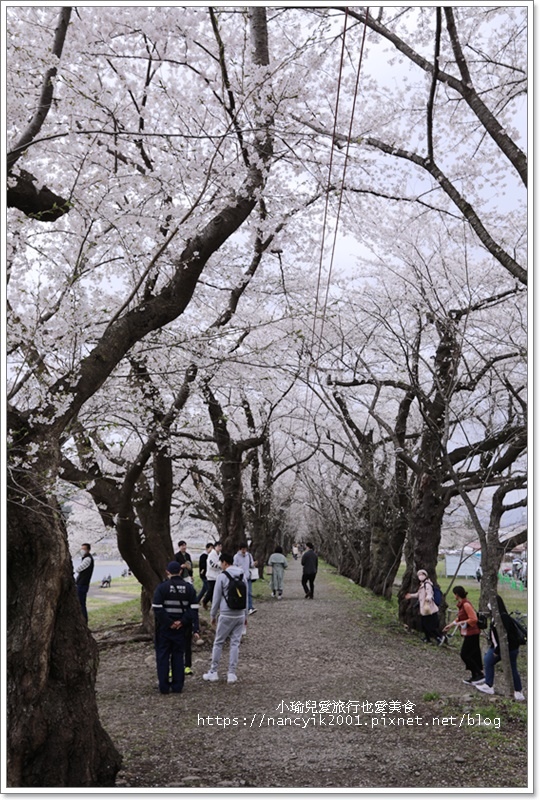 【日本】秋田角館