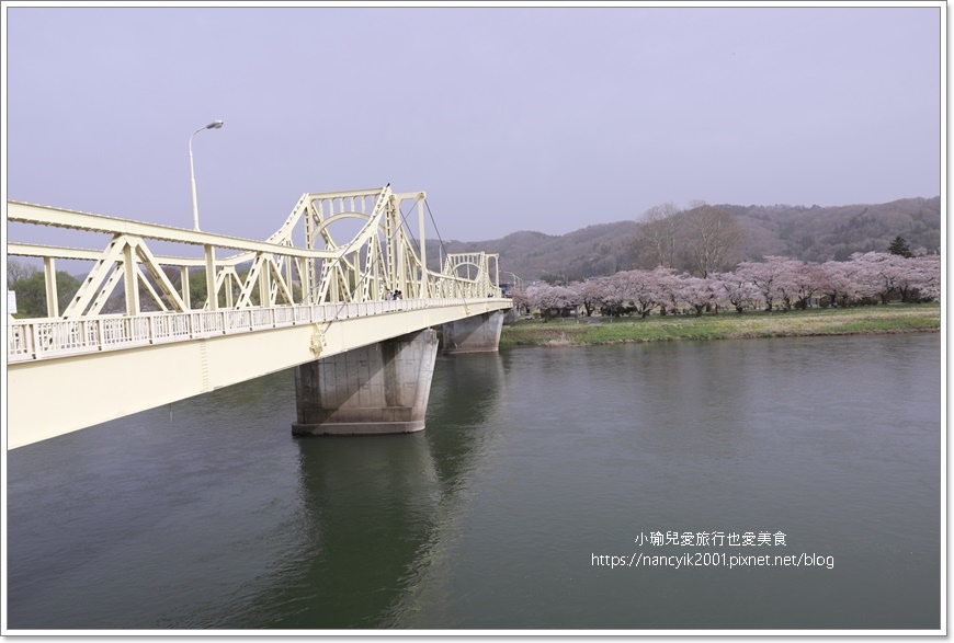 【日本】北上展勝地 / 岩手縣人氣第一賞櫻景點 / 日本櫻花