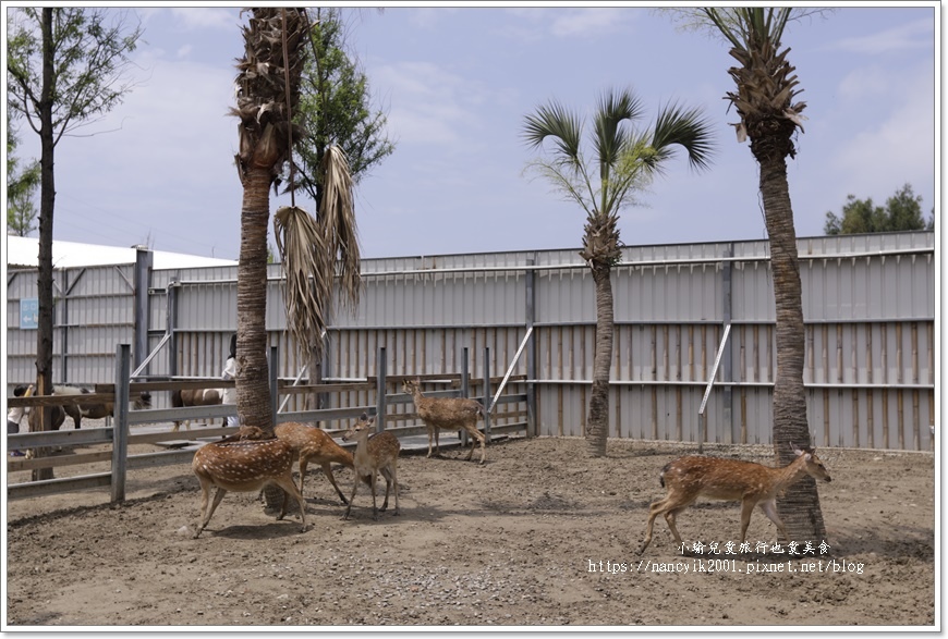 【新竹】廢物媽媽育兒農場