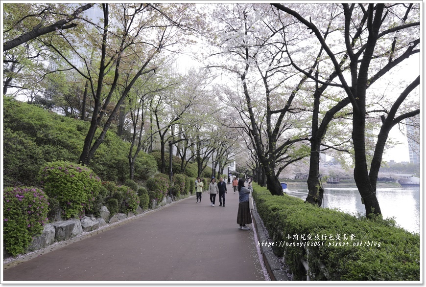 【首爾】石村湖賞櫻步道 【首爾】石村湖賞櫻步道