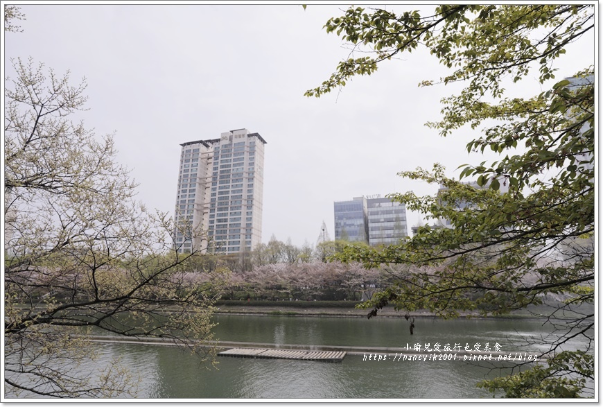 【首爾】石村湖賞櫻步道 【首爾】石村湖賞櫻步道