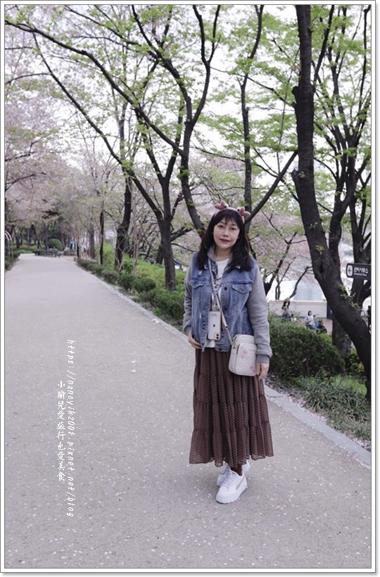 【首爾】韓國賞櫻 / 石村湖賞櫻步道 【首爾】韓國賞櫻 / 石村湖賞櫻步道