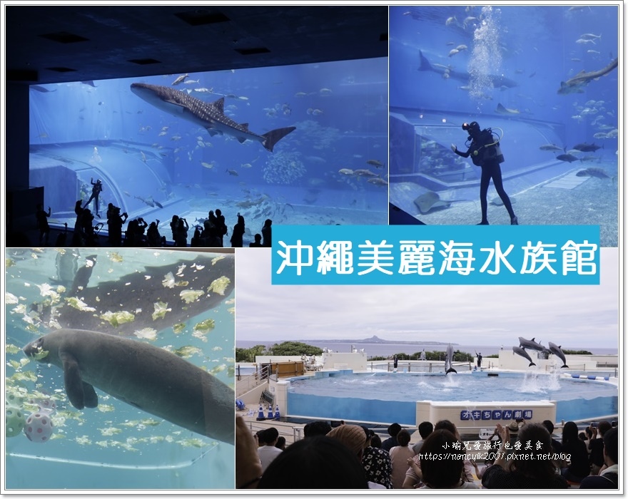 【沖繩】沖繩美麗海水族館（美ら海水族館）