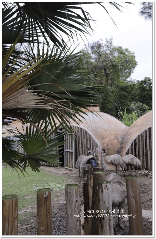 【新竹】新竹市立動物園