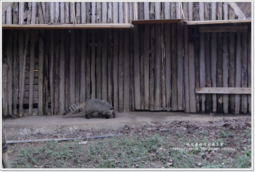 【新竹】新竹市立動物園