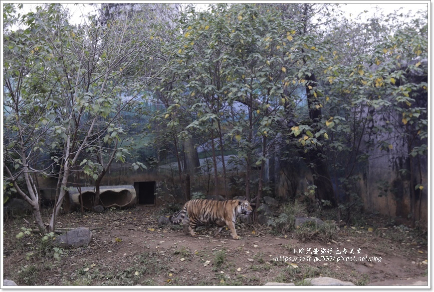 【新竹】新竹市立動物園