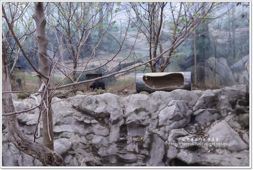 【新竹】新竹市立動物園