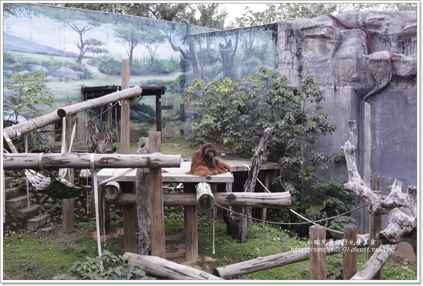 【新竹】新竹市立動物園