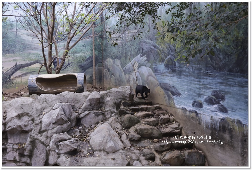 【新竹】新竹市立動物園