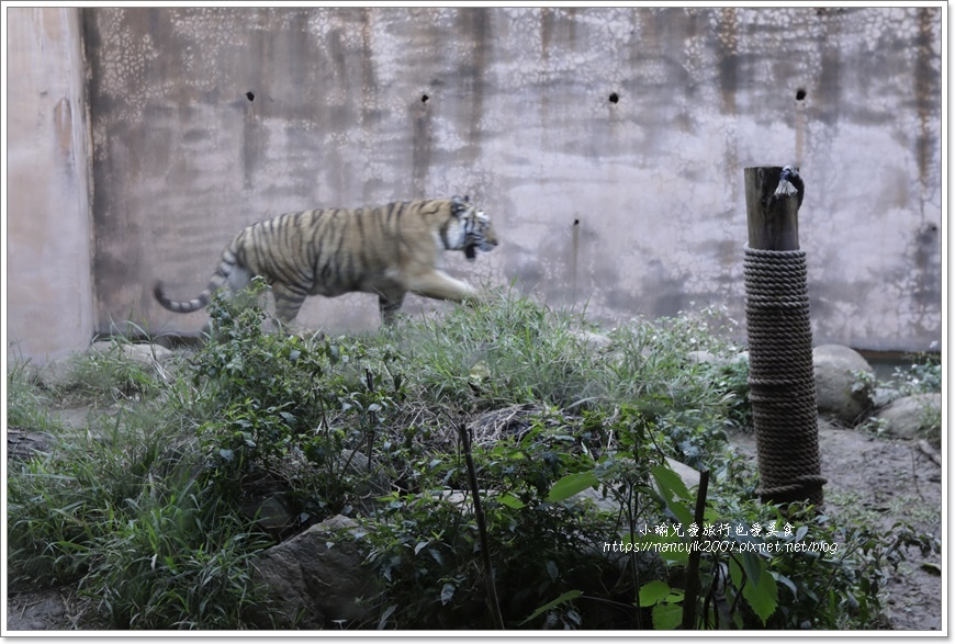 【新竹】新竹市立動物園