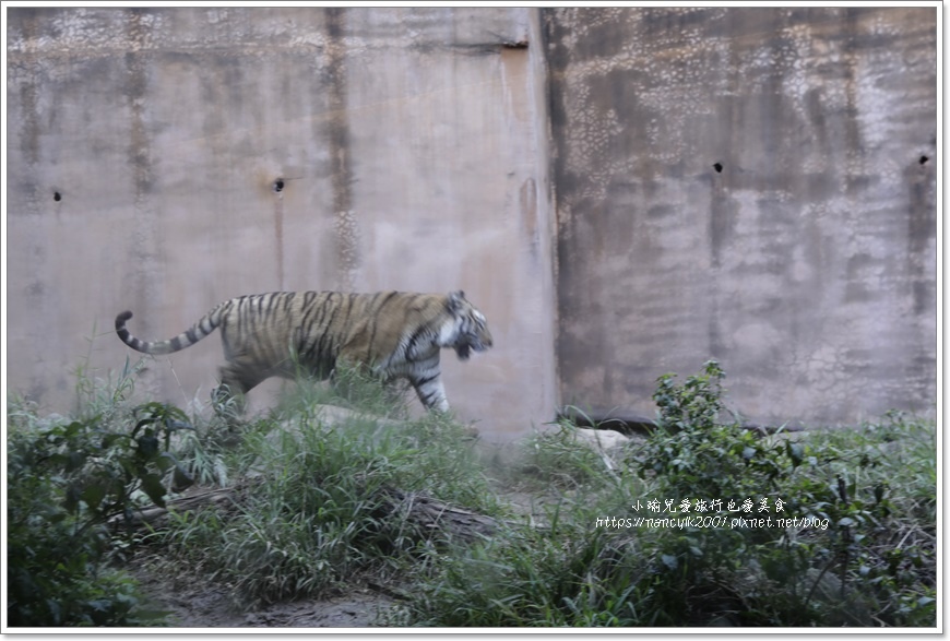 【新竹】新竹市立動物園