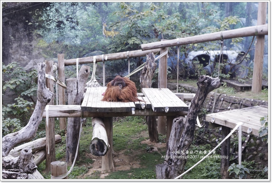 【新竹】新竹市立動物園