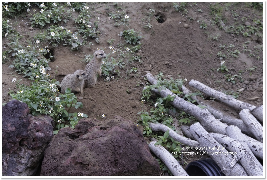 【新竹】新竹市立動物園