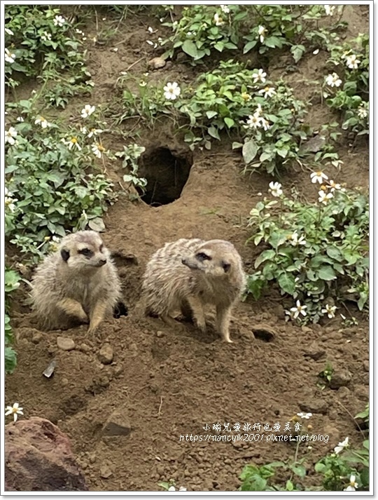 【新竹】新竹市立動物園